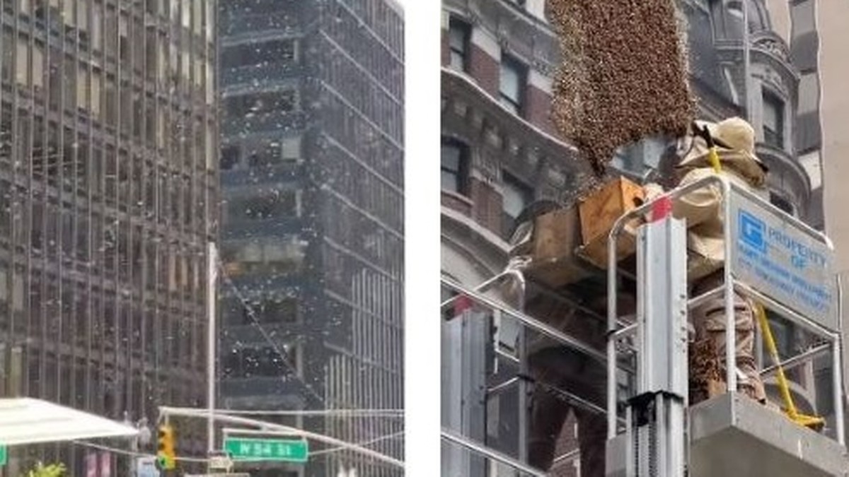 Nowy Jork: Rój pszczół na Times Square. Na pomoc wezwano pszczelarzy