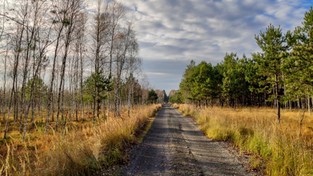 11.12.2019 09:00 Późna jesień wcale nie jest szara, bura i ponura. Zobaczcie piękne zdjęcia polskich krajobrazów