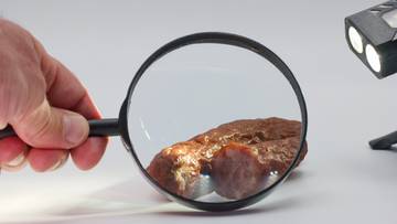 Uwaga na pasożyty w mięsie. Jeden rodzaj stanowi szczególne zagrożenie