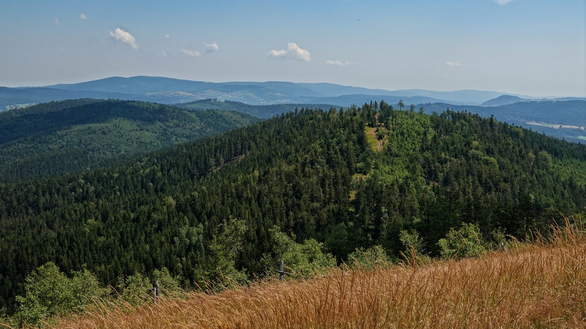 Góry Sowie, Suche i Kamienne - zdjęcie 22