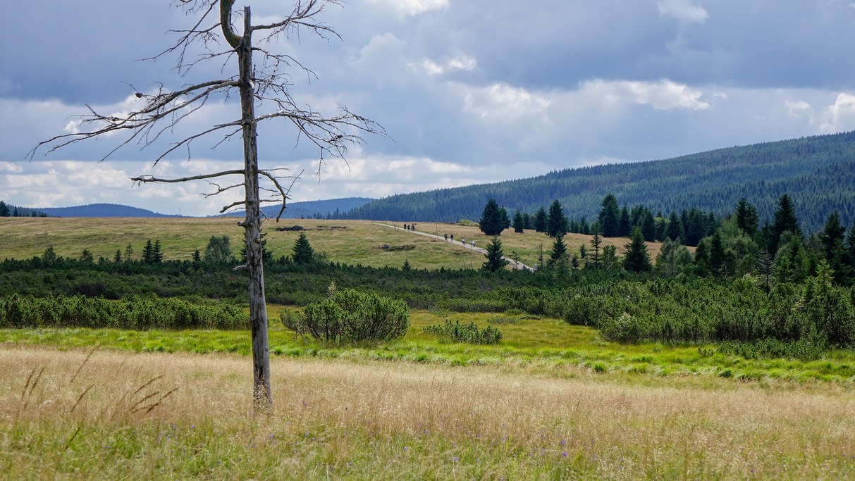 Piękno polskich gór - zdjęcie 53