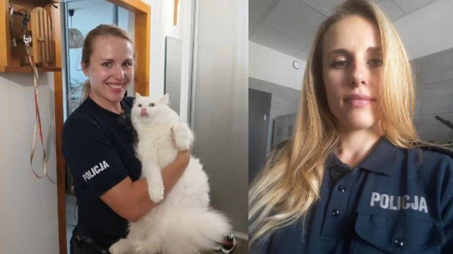 Była policjantka kontra mąż. Wstrząsające nagrania