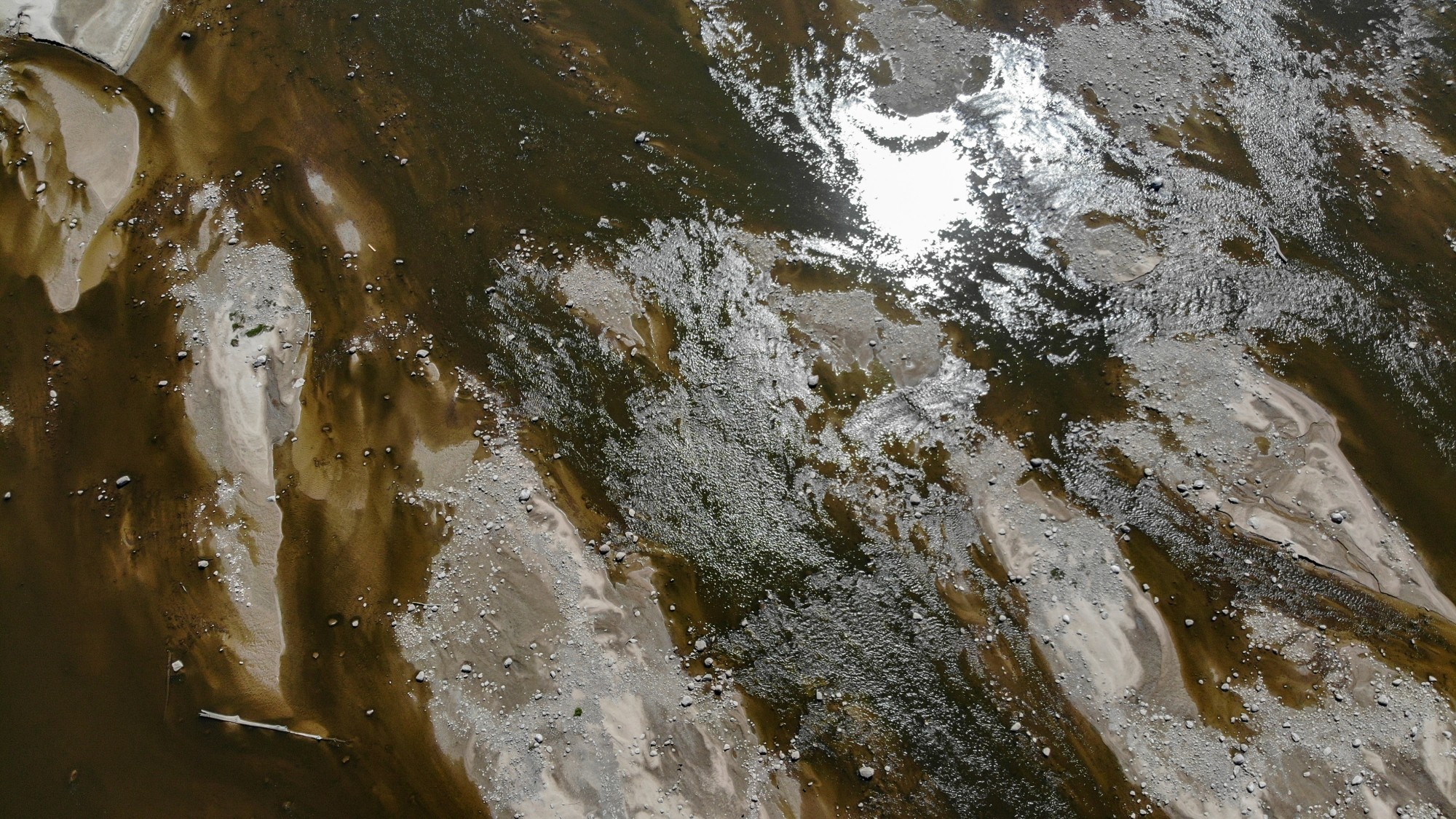 Susza na Wiśle - zdjęcie 15