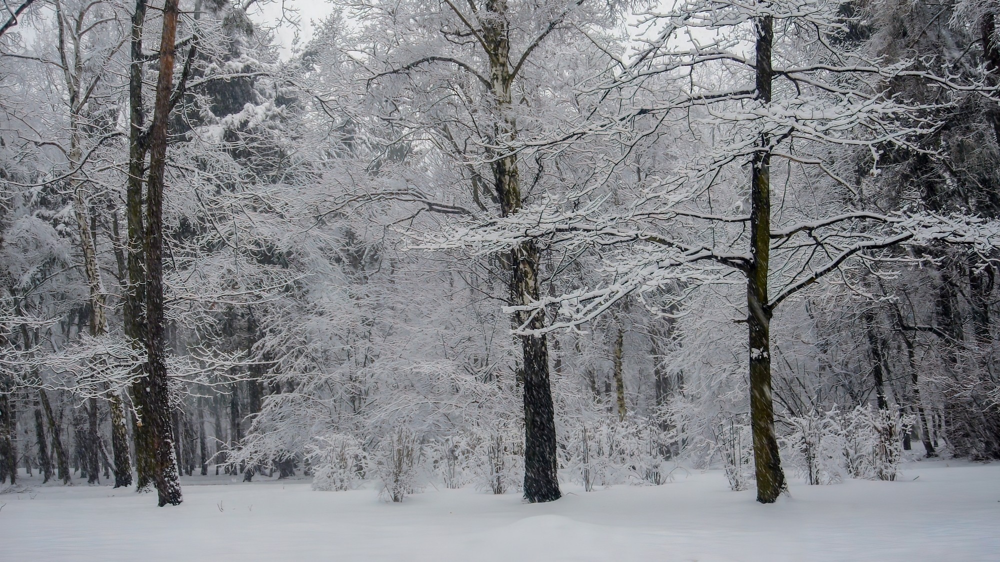 Śnieżne zimy sprzed lat - zdjęcie 19