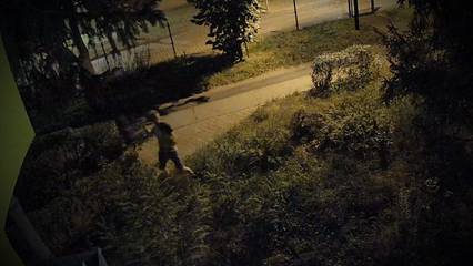 Gaz, kamienie, wyzwiska. Sąsiad terroryzuje osiedle