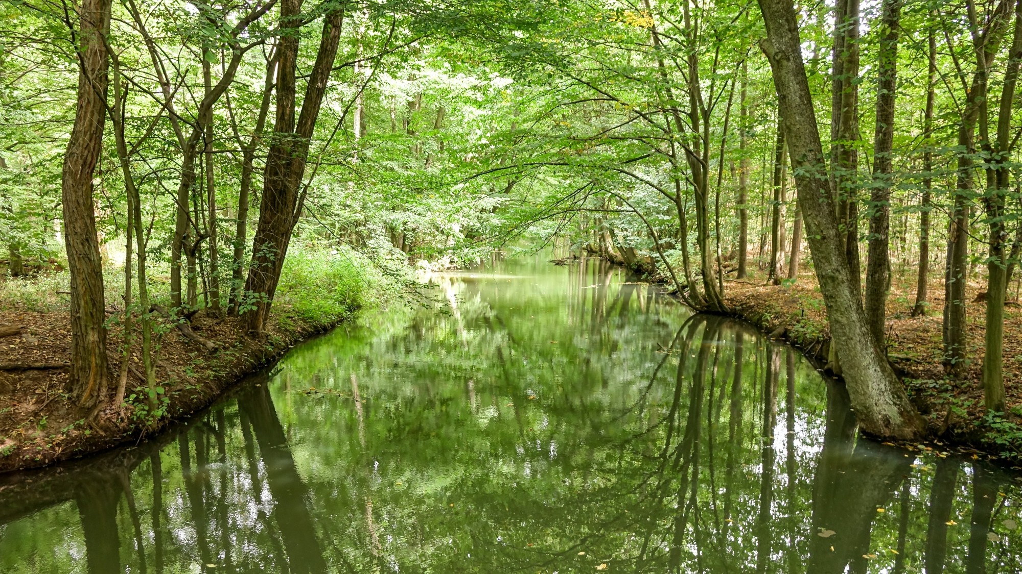 Odkryj piękno Polski w wakacje - zdjęcie 42