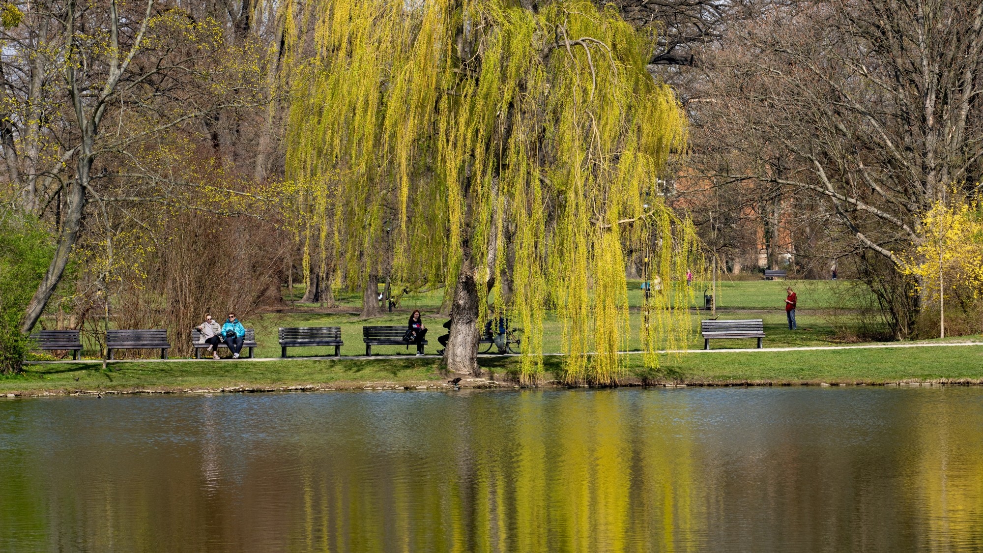 Miejska przyroda - zdjęcie 28