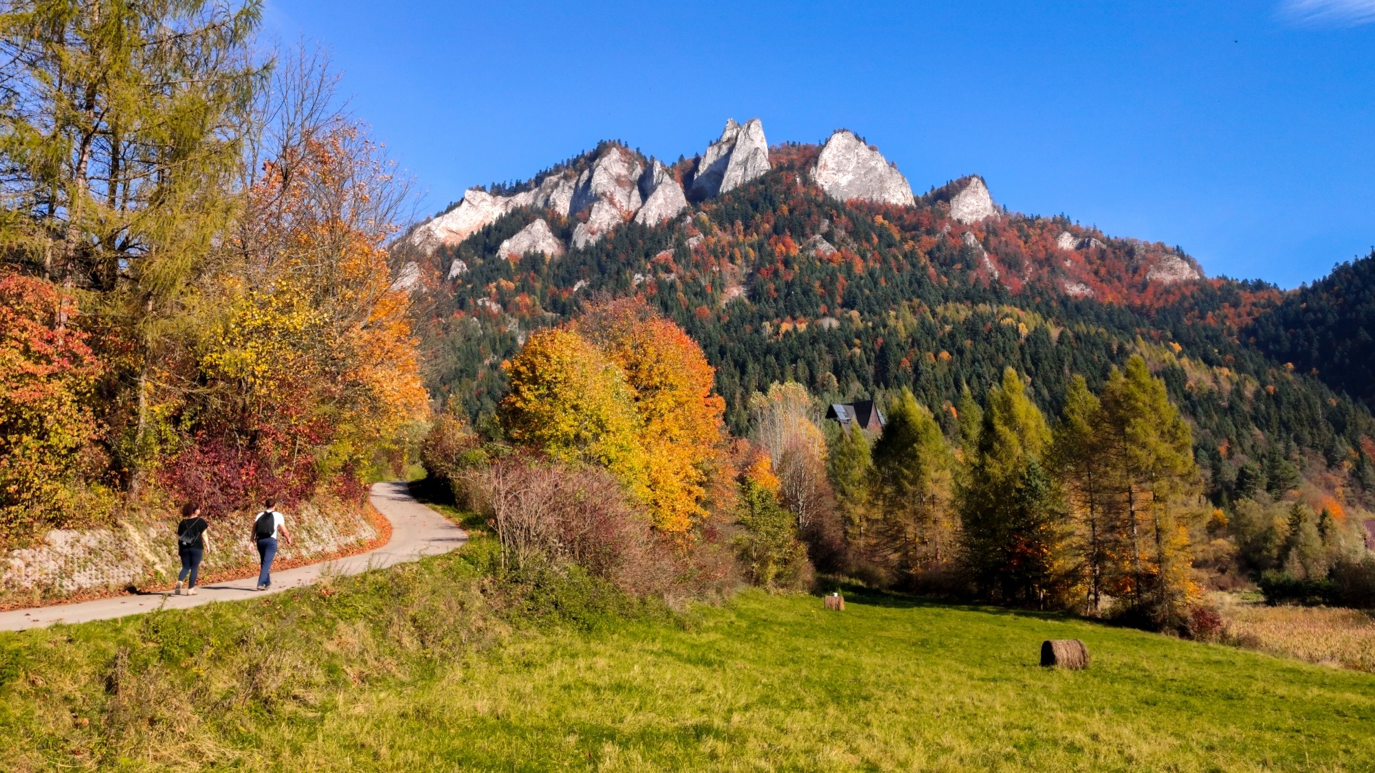 Polskie krajobrazy w 2019 roku - zdjęcie 24