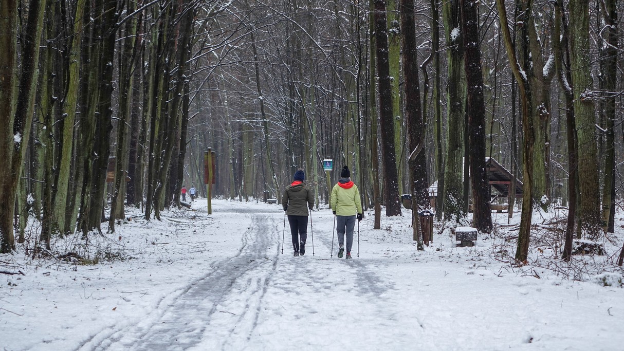 Styczeń w obiektywie - zdjęcie 49
