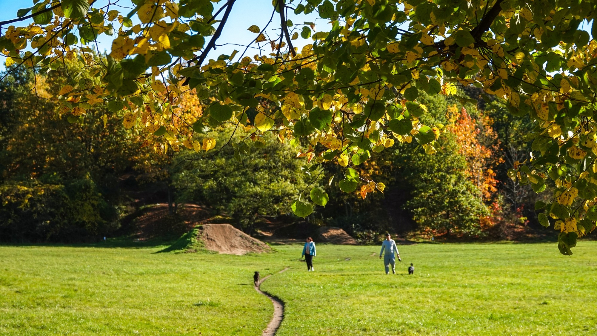 Wszystkie barwy jesieni - zdjęcie 53