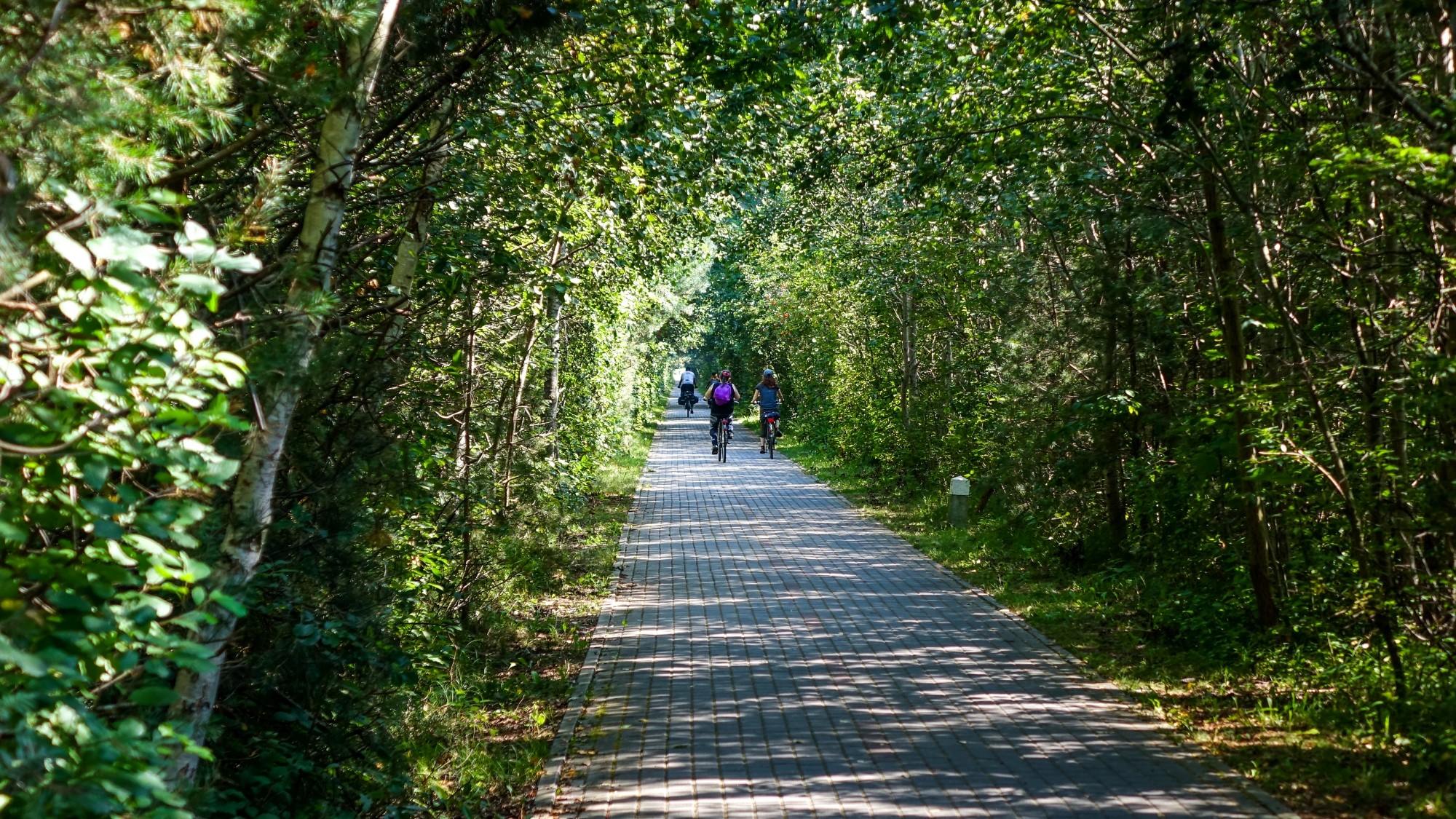 Sierpień w obiektywie - zdjęcie 9