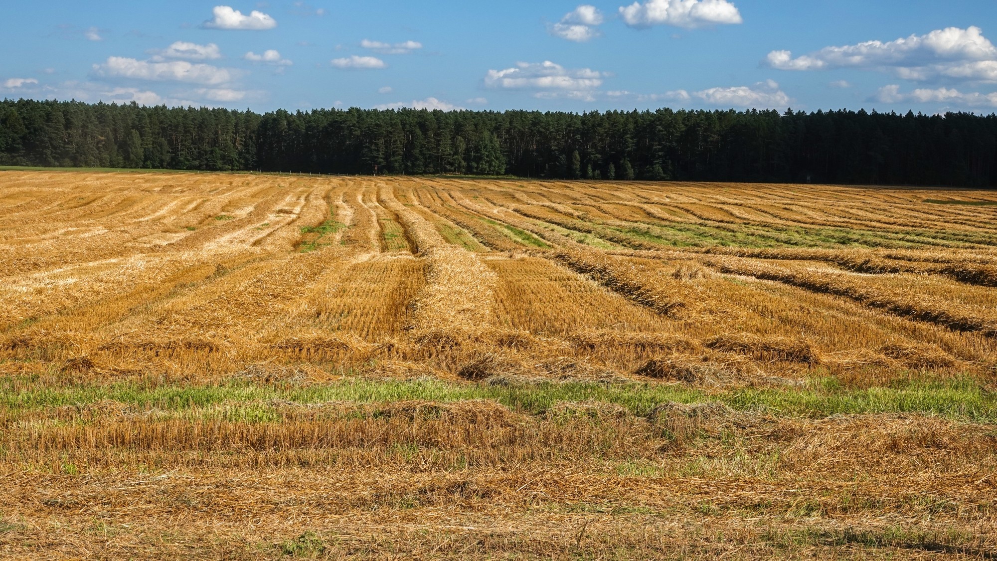 Na pożegnanie lata - zdjęcie 39