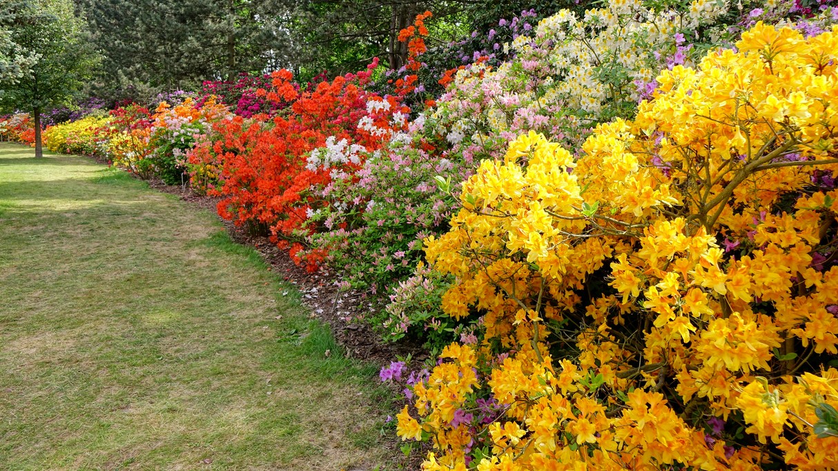 Maj w obiektywie - zdjęcie 13