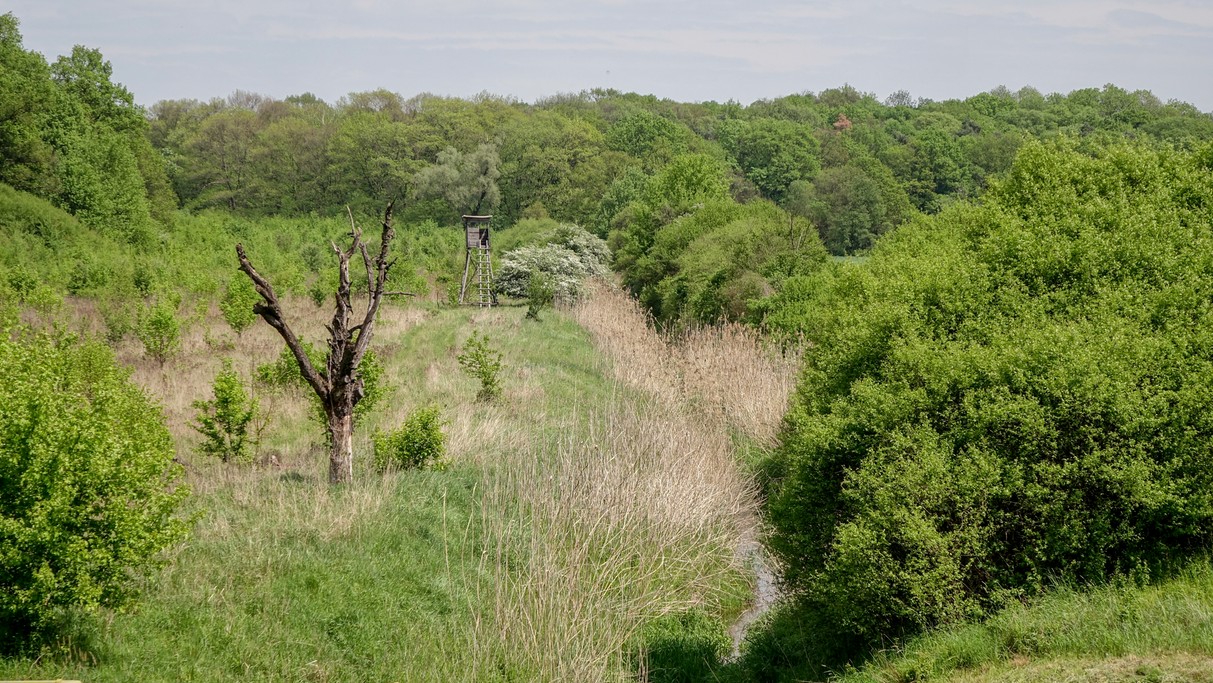 Maj w obiektywie - zdjęcie 26