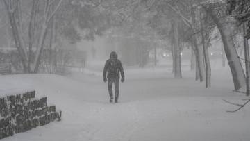 Pierwsze ofiary mrozów w tym roku. RCB apeluje