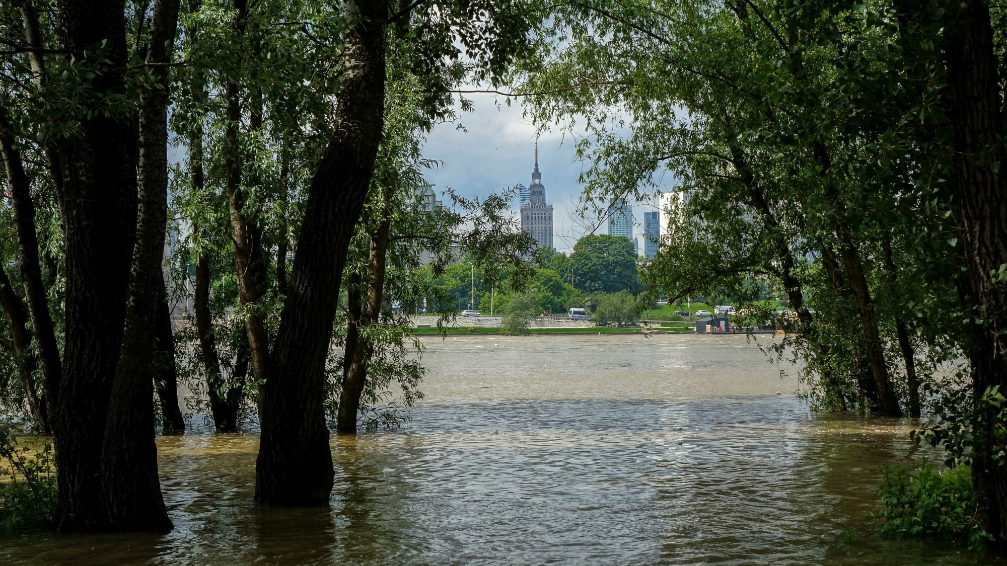 Maj w obiektywie - zdjęcie 7