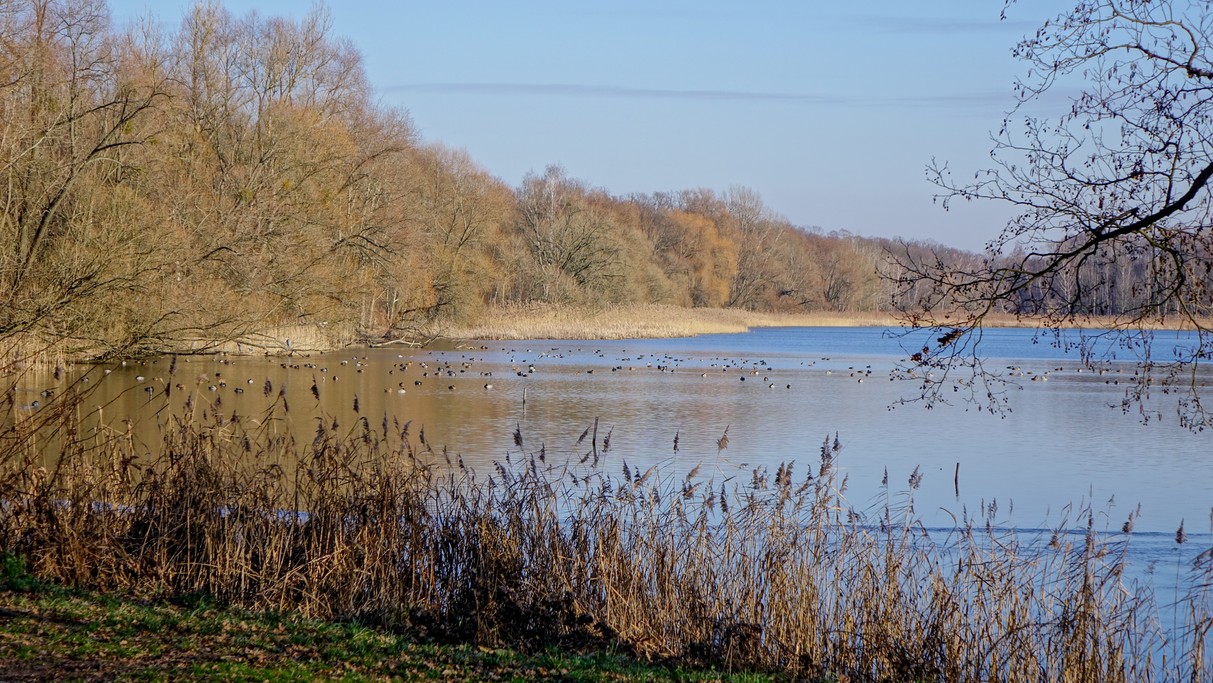 Grudzień w obiektywie - zdjęcie 5
