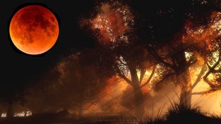 20.09.2021 05:56 Zobacz na niebie pełnię Księżyca Żniwiarzy, który otwiera doroczny Festiwal Jesieni