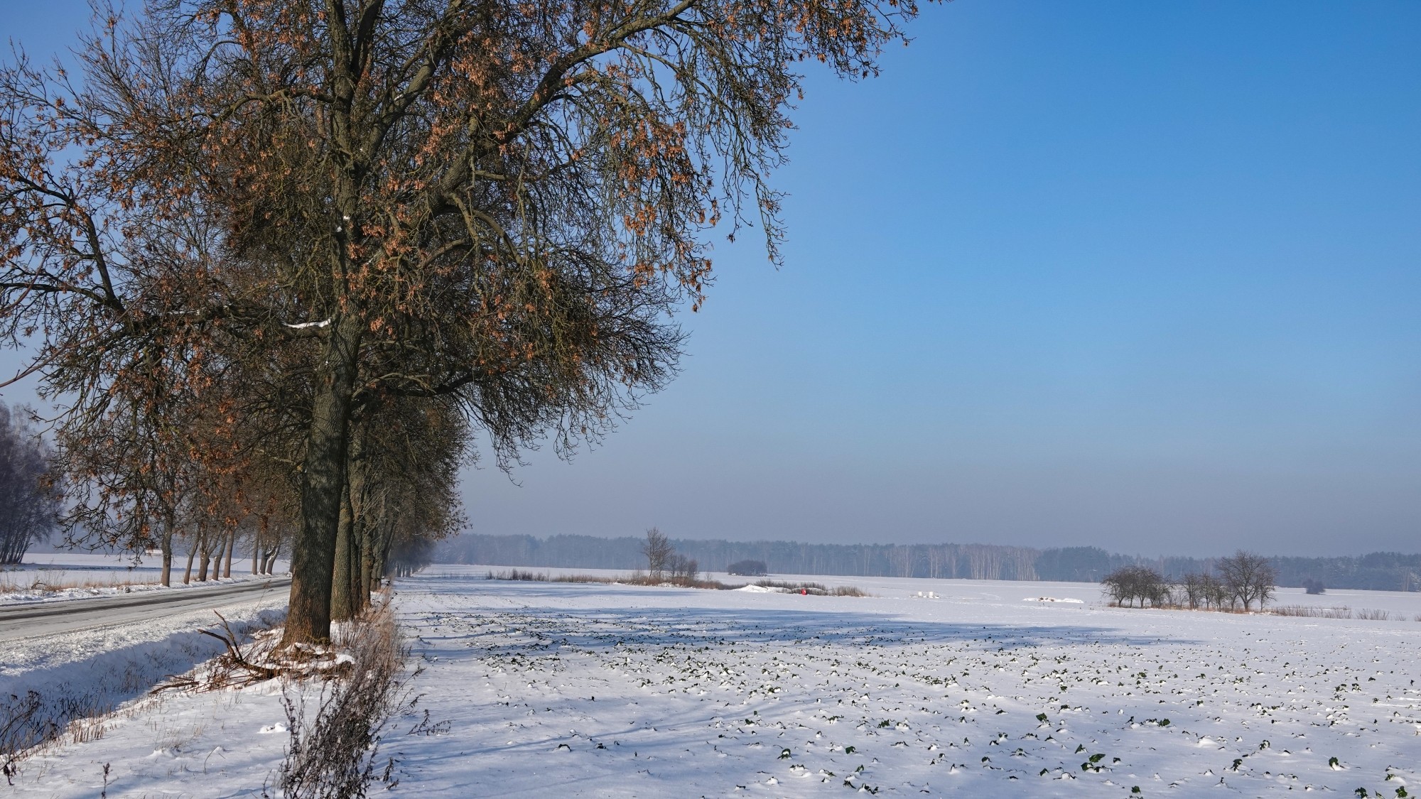 Na lodowym szlaku - zdjęcie 27