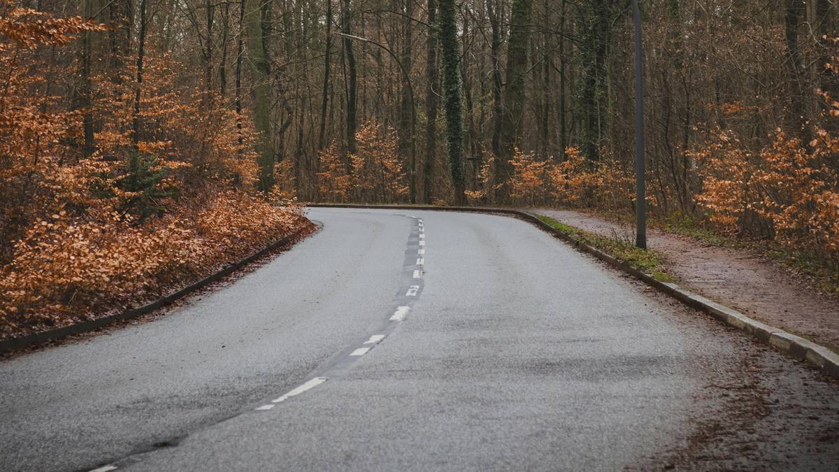 Dzikie zwierzęta powodują tu coraz więcej wypadków. Policja apeluje