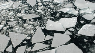 14.02.2020 09:00 Tyle lodu w Arktyce nie było od kilkunastu lat. Winna jest wyjątkowo ciepła zima w Europie