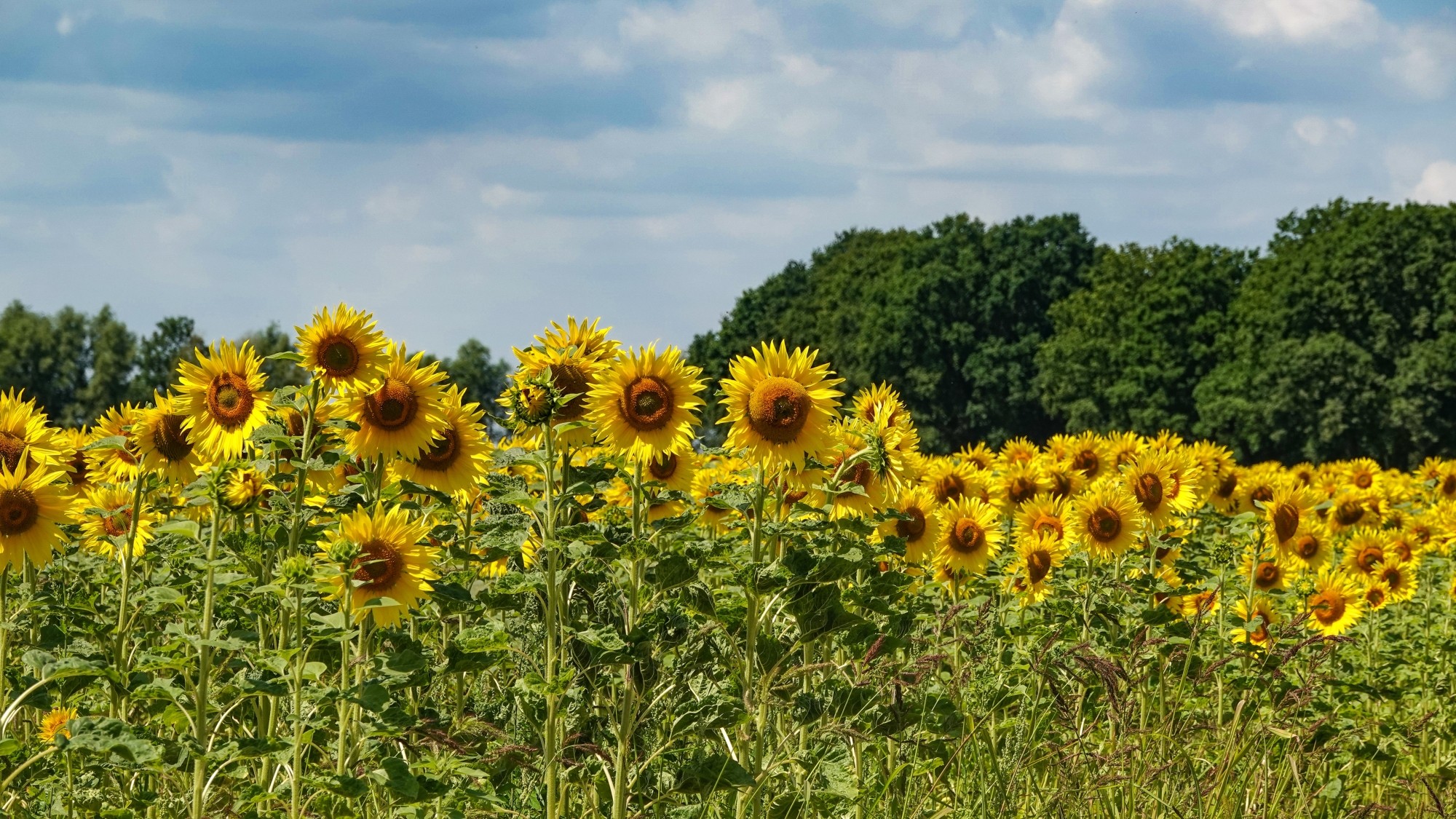 Podróż przez polską prowincję - zdjęcie 6