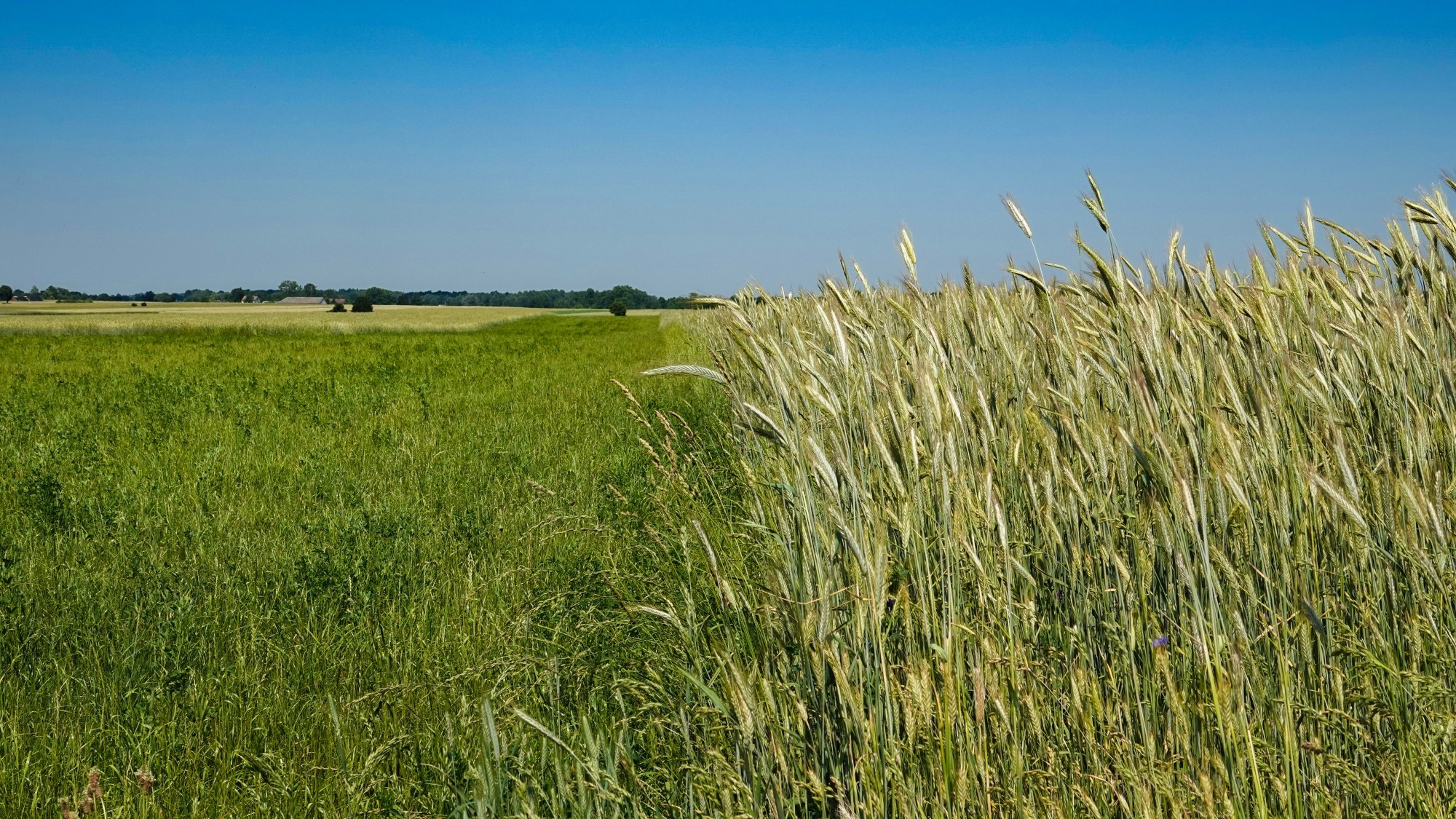 Lato w plenerze - zdjęcie 27