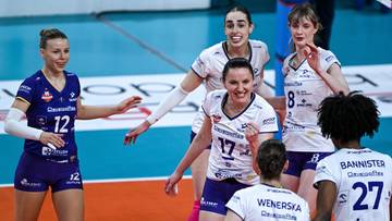 Tauron liga: Metalkas Pałac Bydgoszcz - KS Developres Rzeszów. Relacja live i wynik na żywo