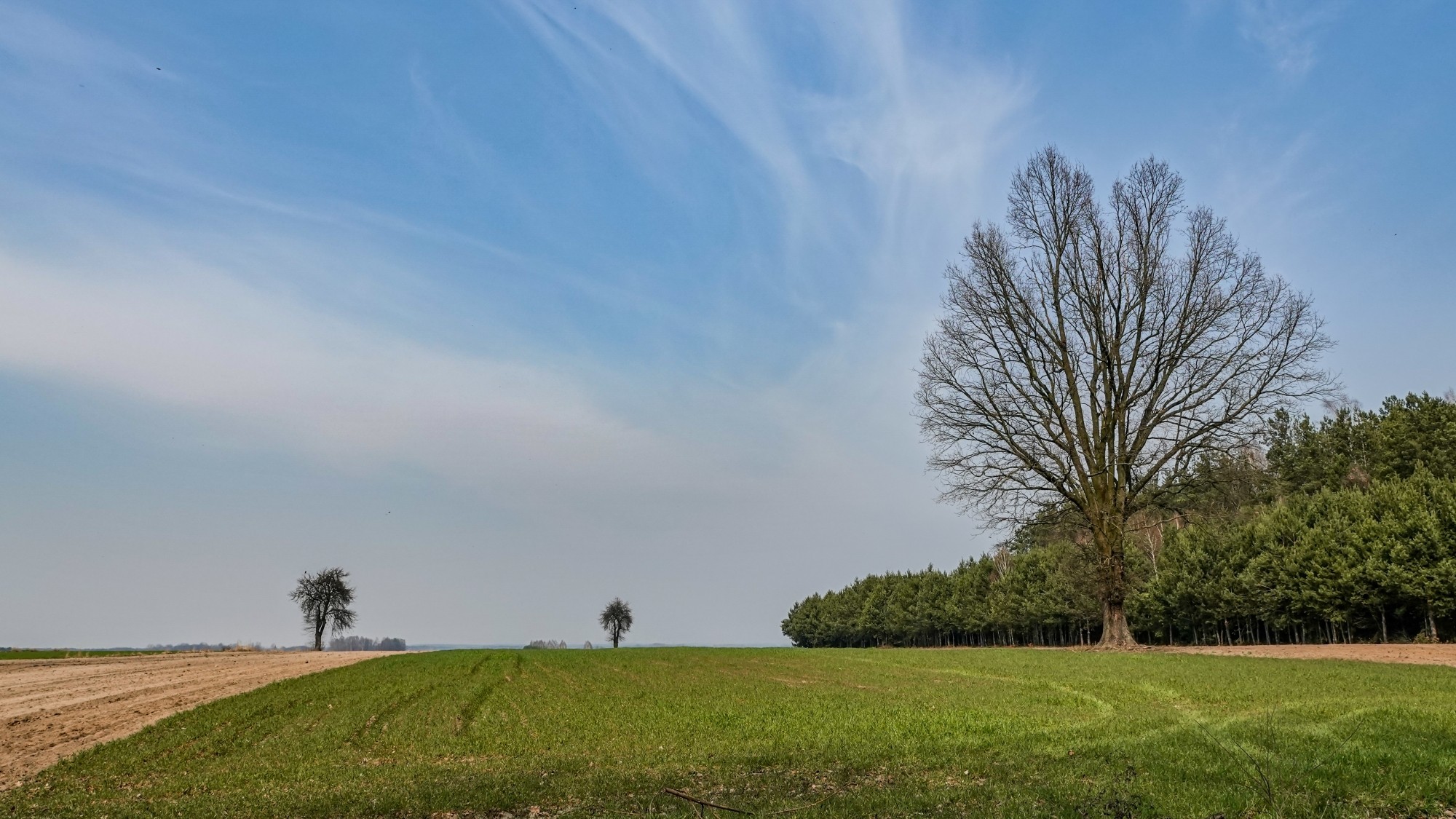 Marzec w obiektywie - zdjęcie 10