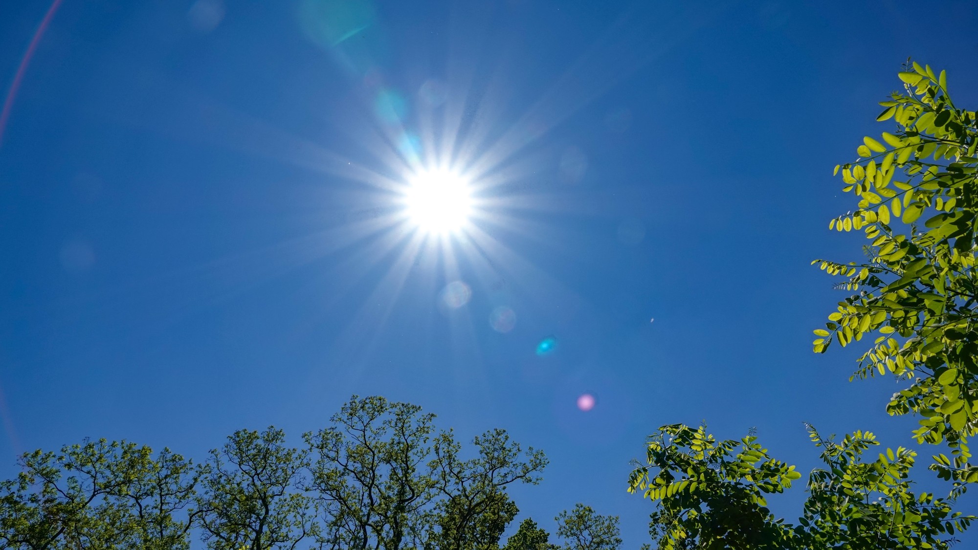 Uroki zielonej pory roku - zdjęcie 51