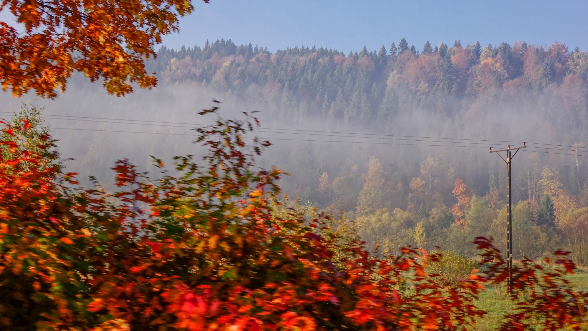 Jesień w górach, lasach i nad jeziorami - zdjęcie 51