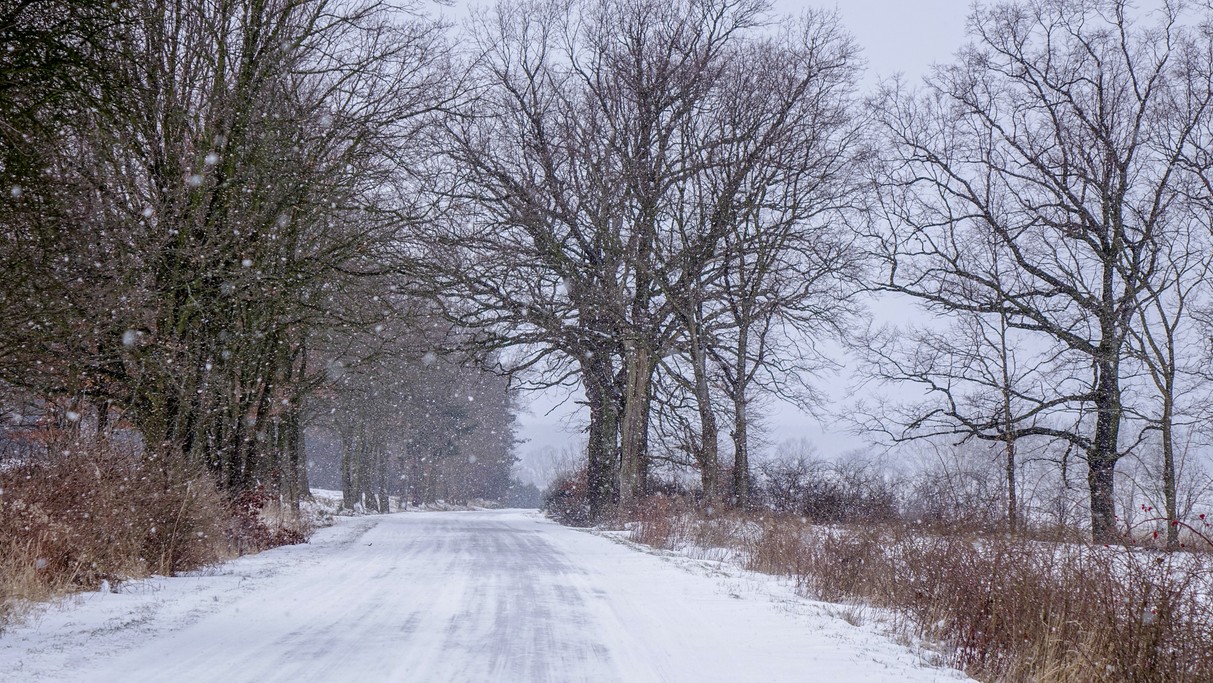 Marzec w obiektywie - zdjęcie 53
