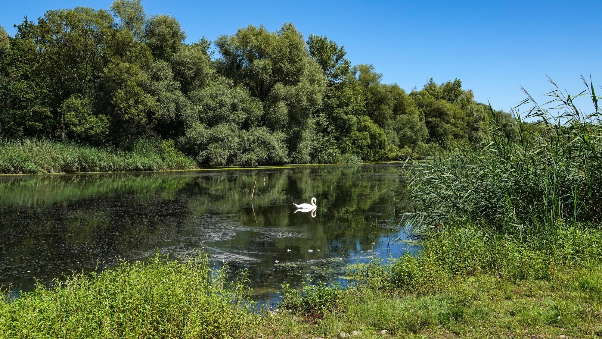 Na pożegnanie lata - zdjęcie 24