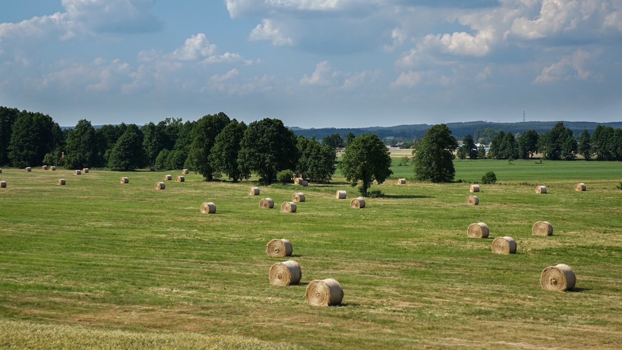 Czerwiec w obiektywie - zdjęcie 45