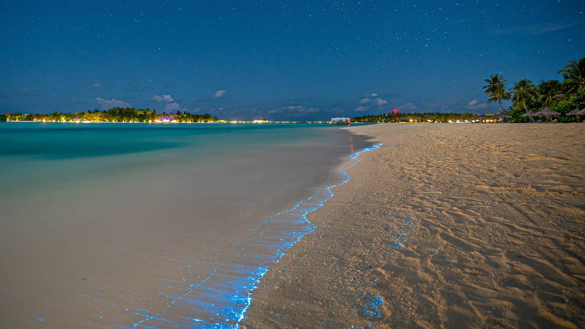 Bioluminescencja na Malediwach, gdzie fale potrafią świecić na niebiesko po zmroku.