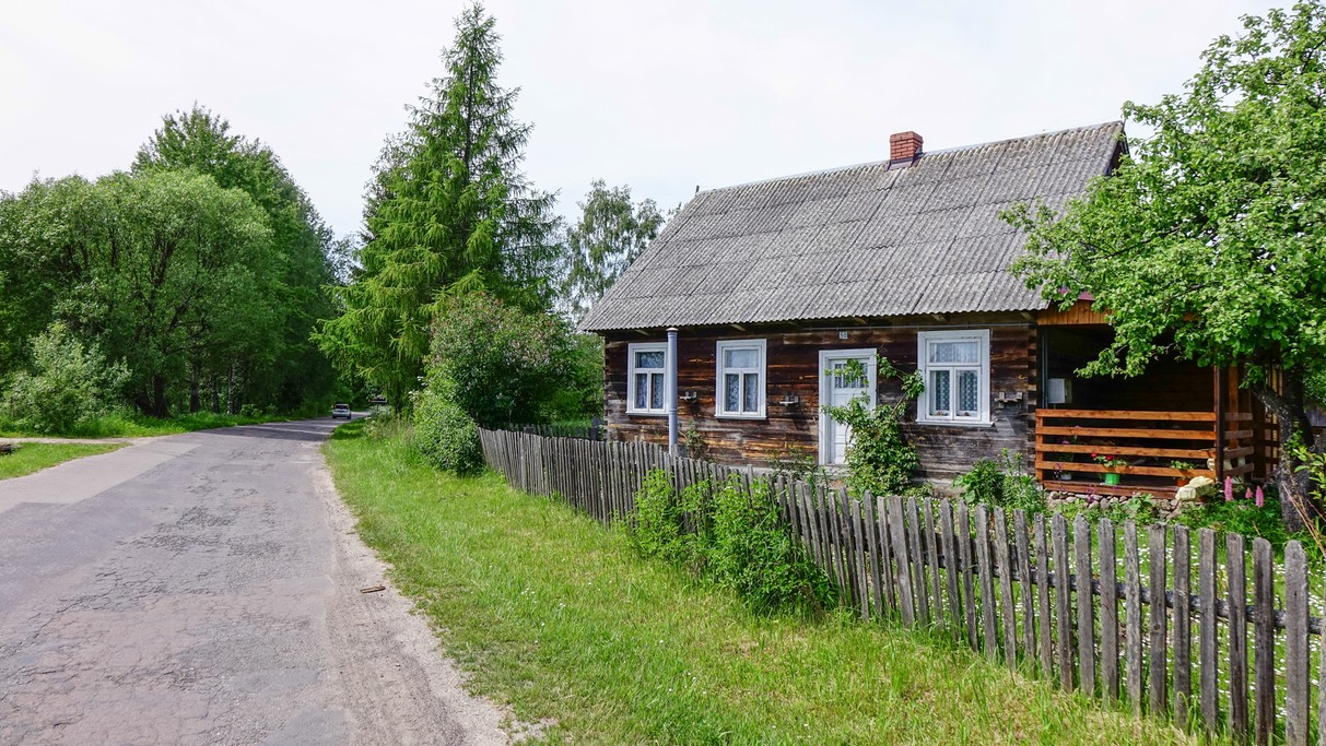 Białowieski Park Narodowy - zdjęcie 18