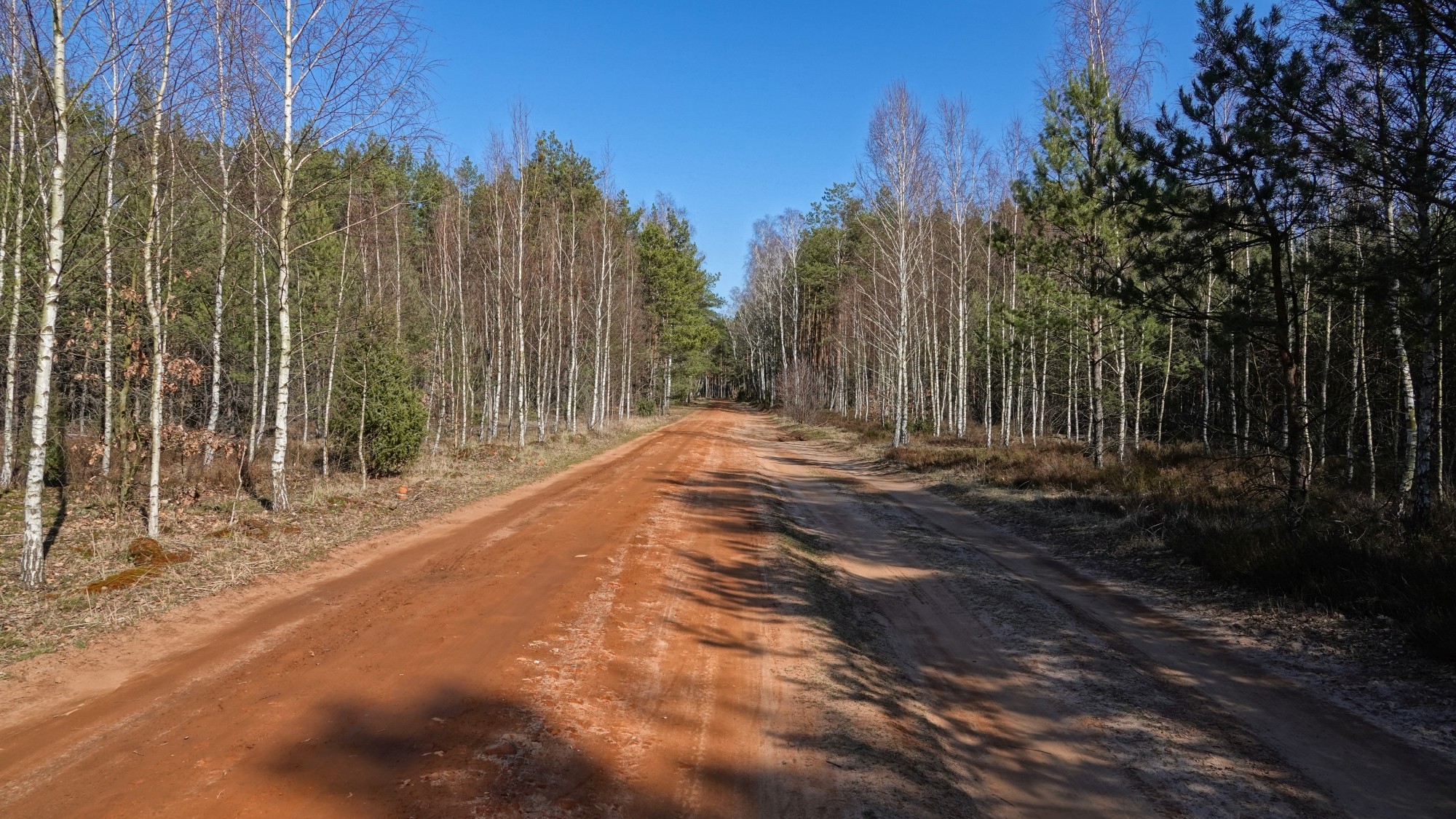 Marzec w obiektywie - zdjęcie 6