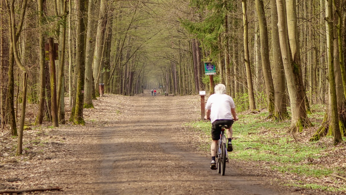 Kwiecień w obiektywie - zdjęcie 51