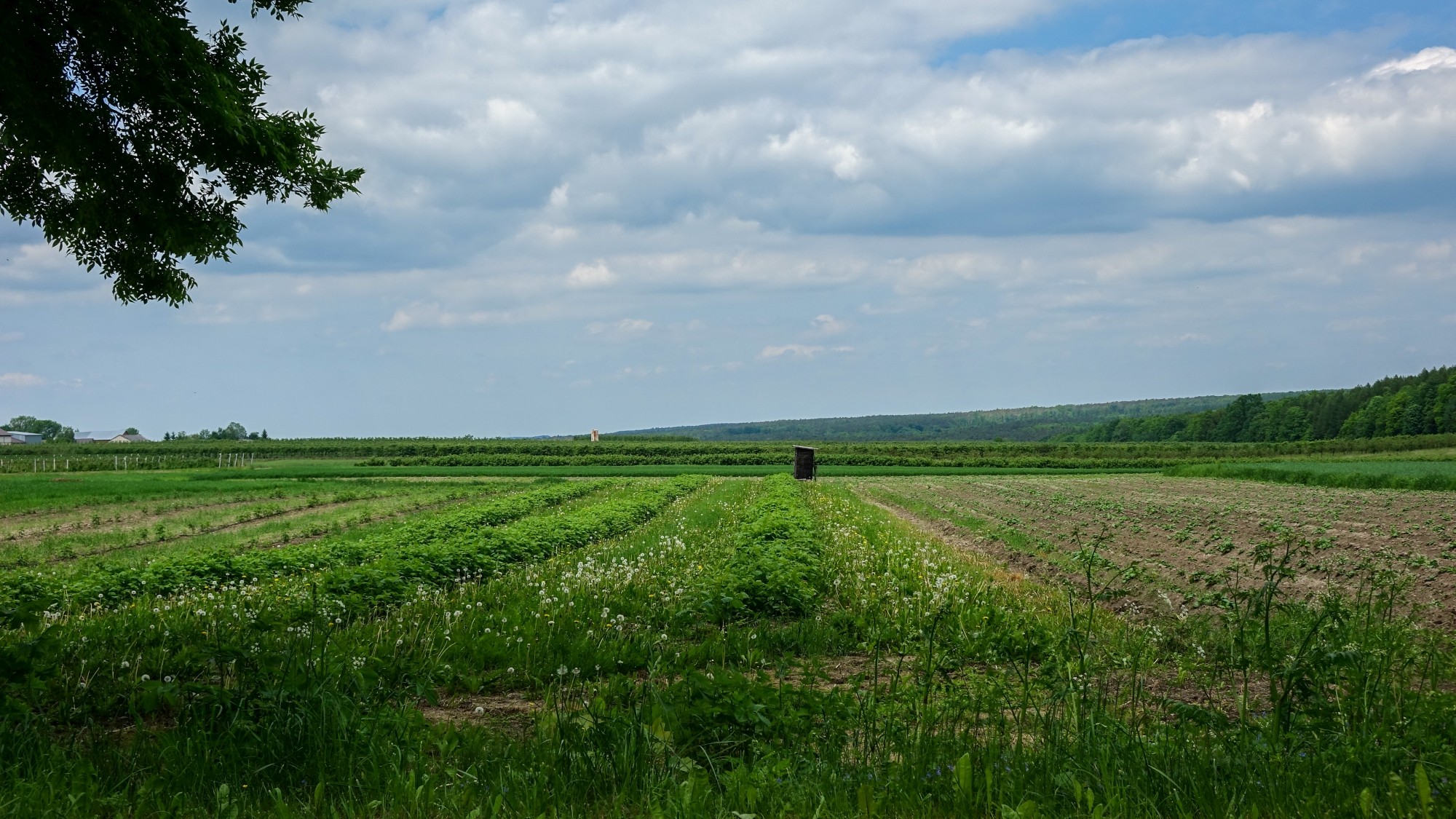 Maj w obiektywie - zdjęcie 49