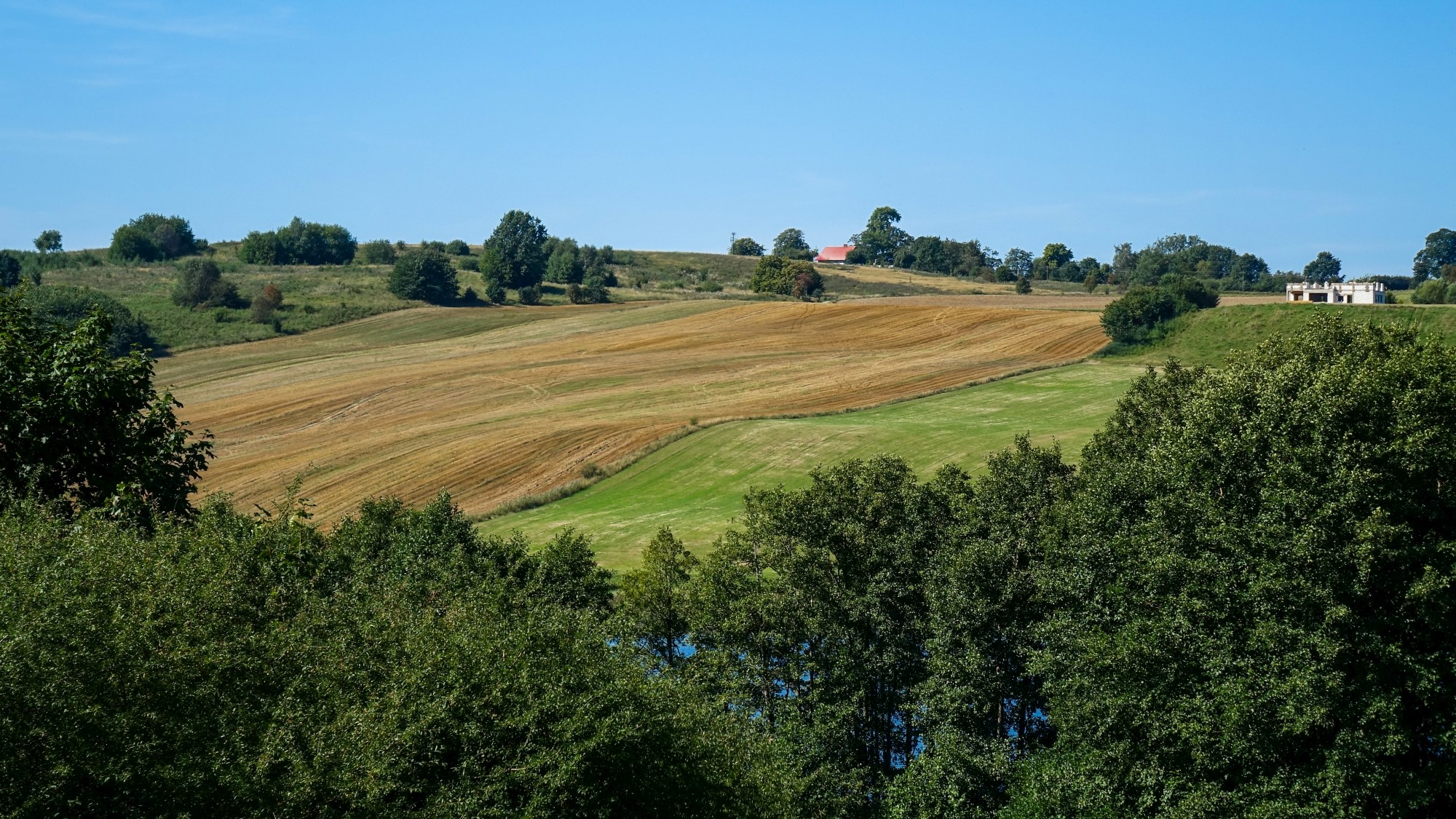 Sierpień w obiektywie - zdjęcie 22