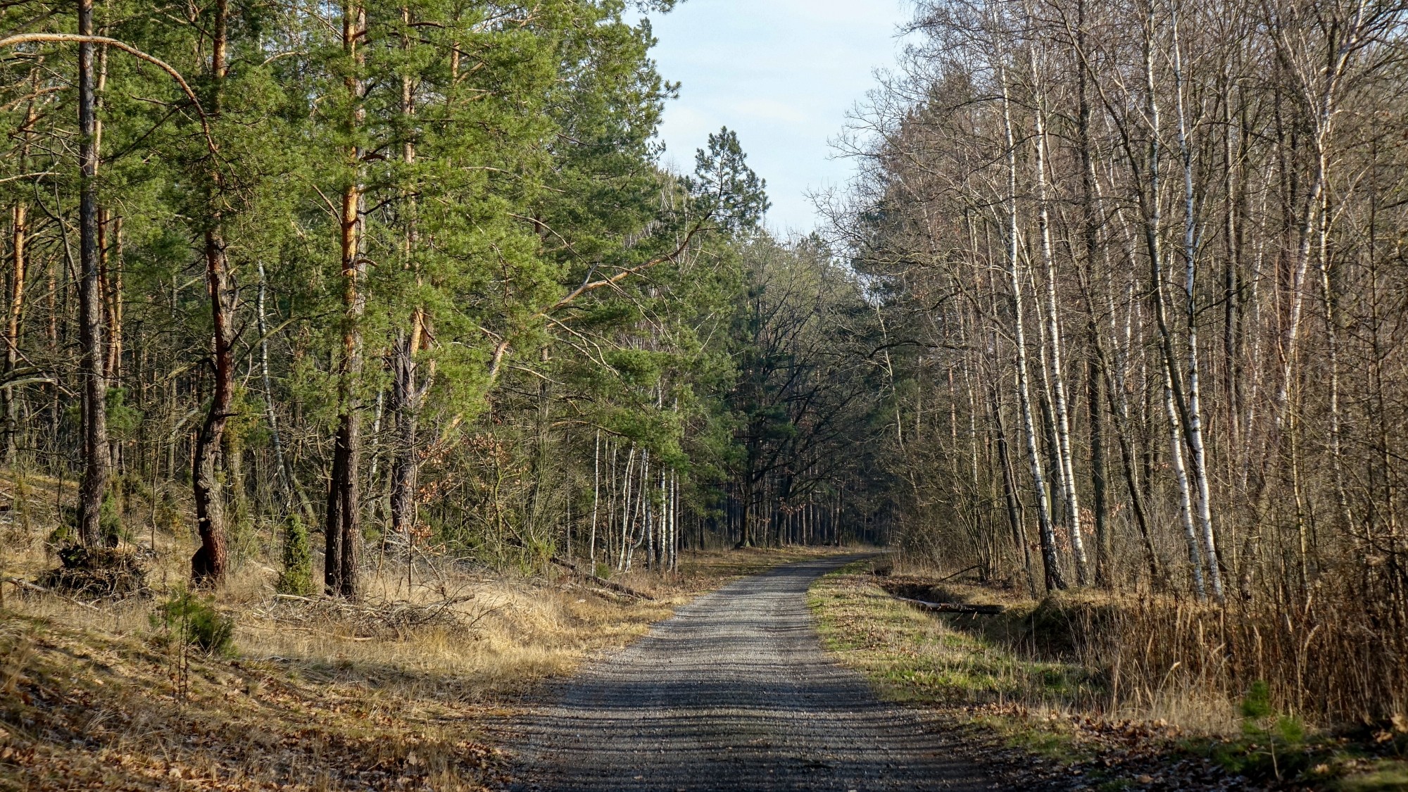Najcieplejsza zima w historii - zdjęcie 40