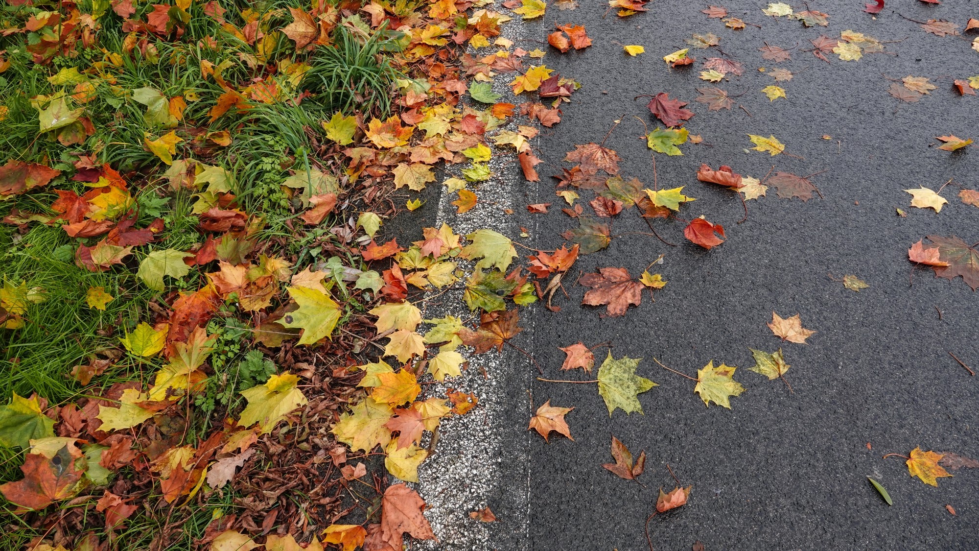 Jesienne klimaty - zdjęcie 14