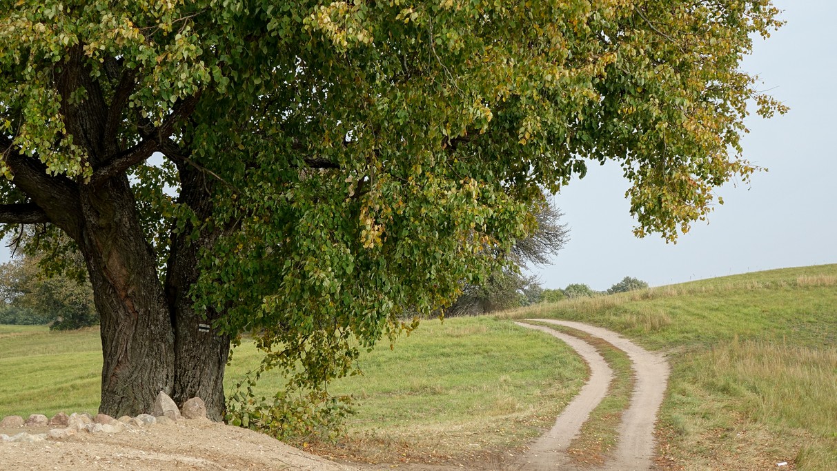 Październik w obiektywie - zdjęcie 44