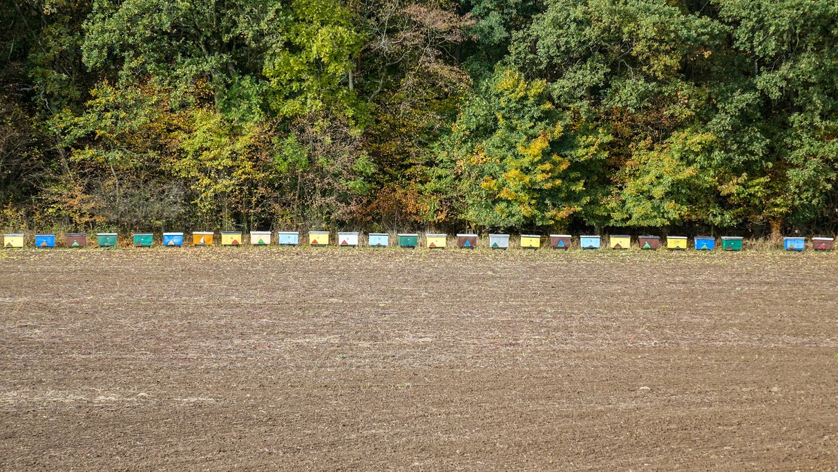 Podróż przez jesienną Polskę - zdjęcie 54