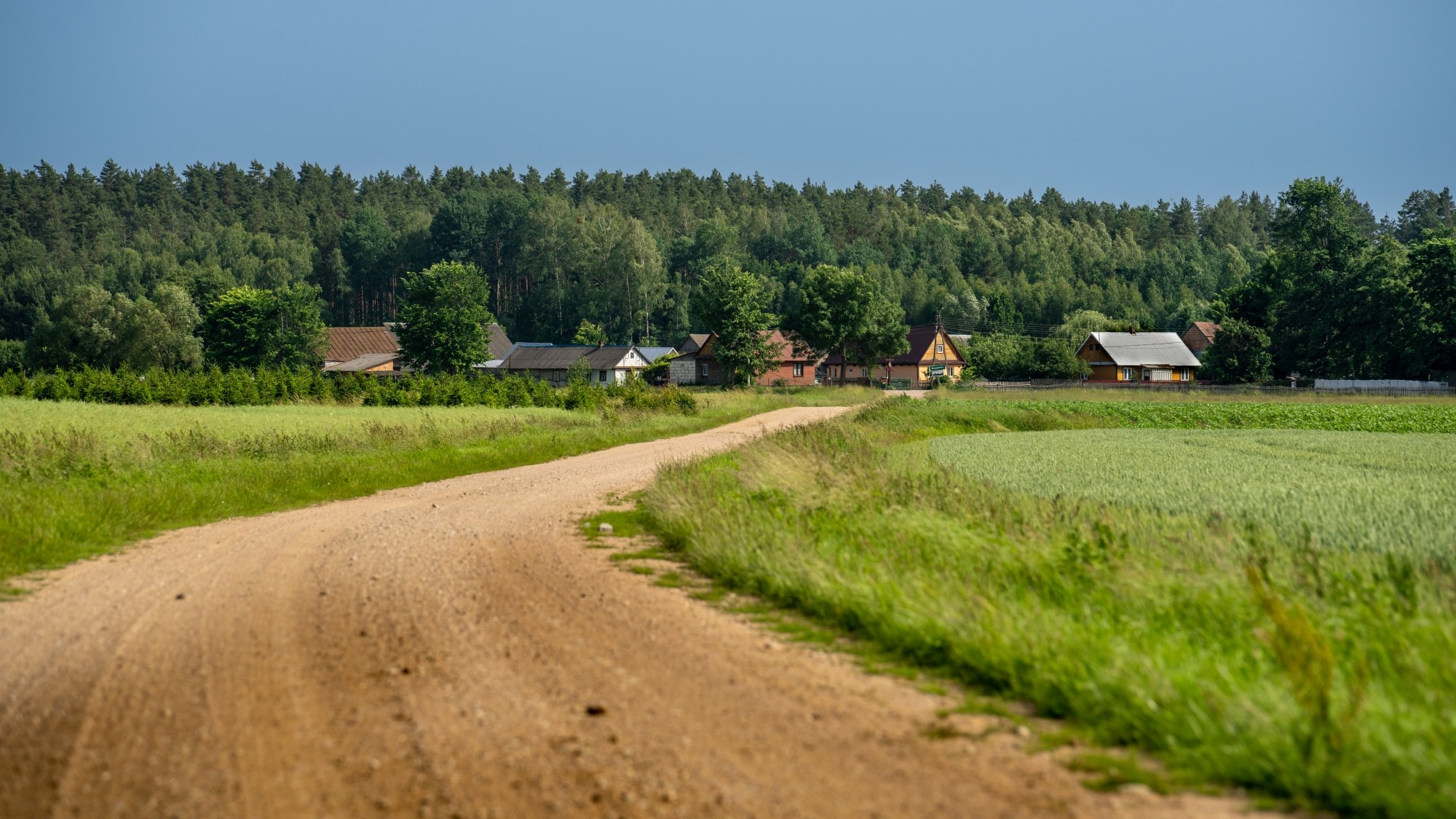 Lato na prowincji - zdjęcie 20