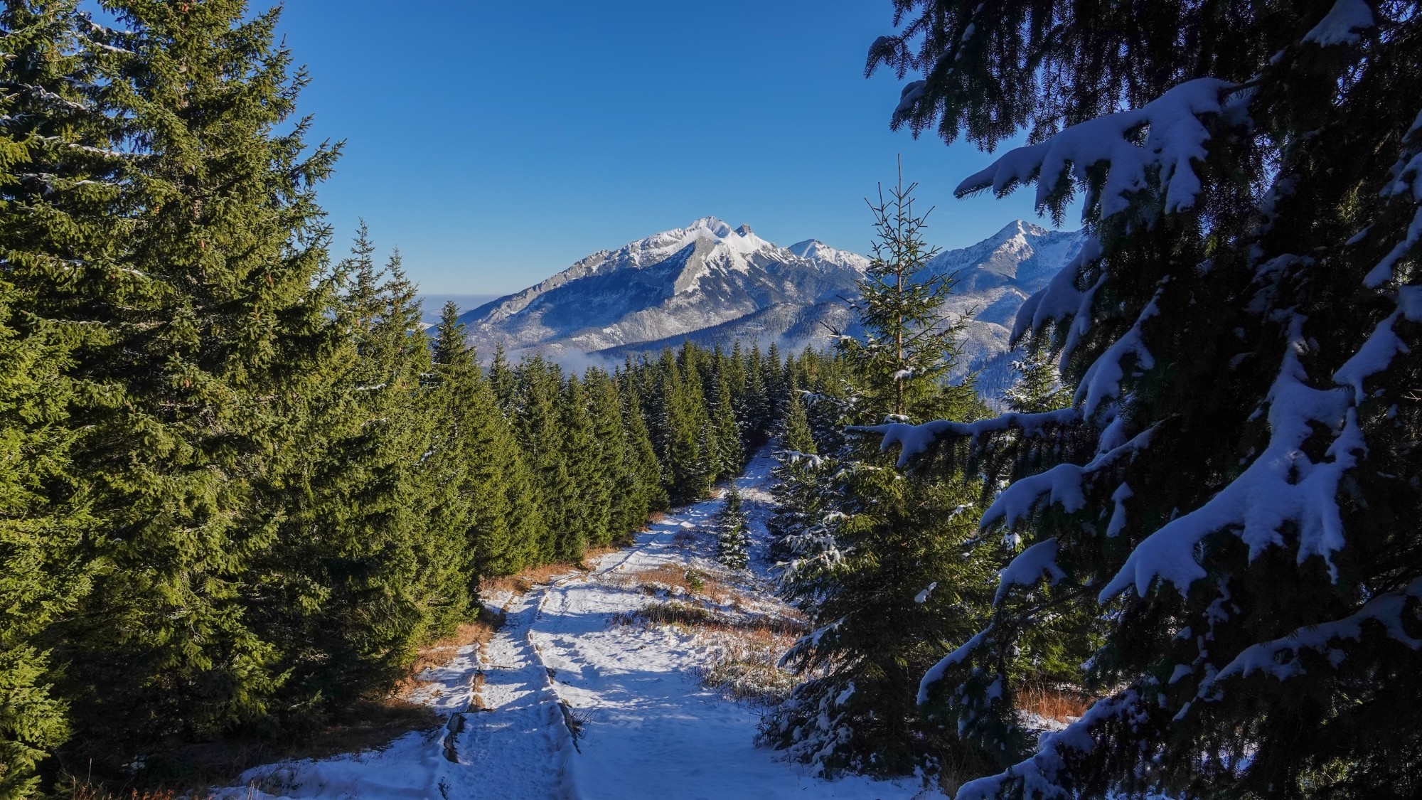 Tatry zimą - zdjęcie 24