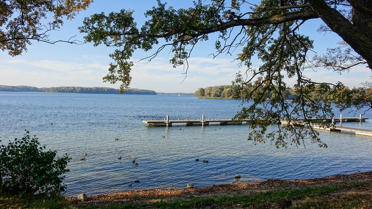 Październik w obiektywie - zdjęcie 29