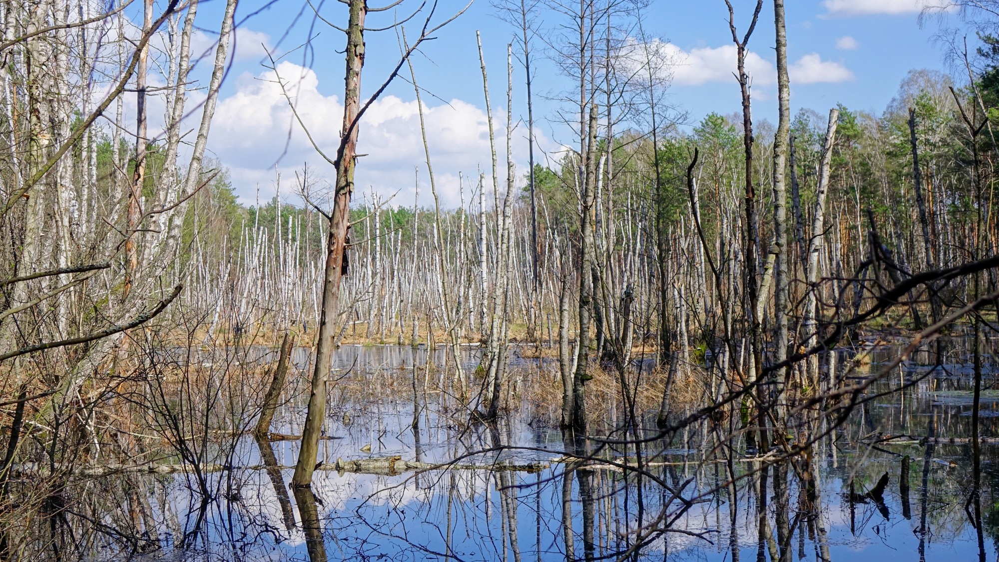 Wypoczynek nad wodą - zdjęcie 35