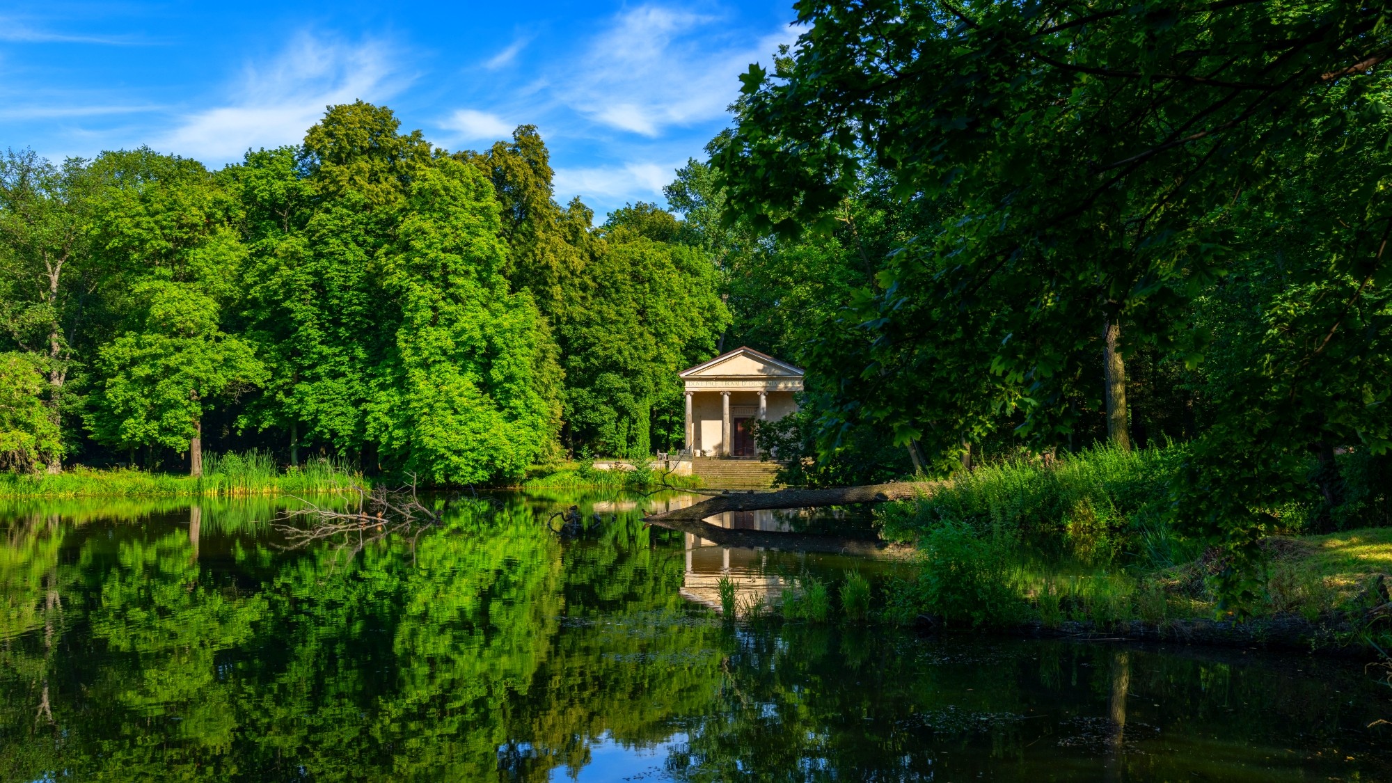 Wśród natury - zdjęcie 7