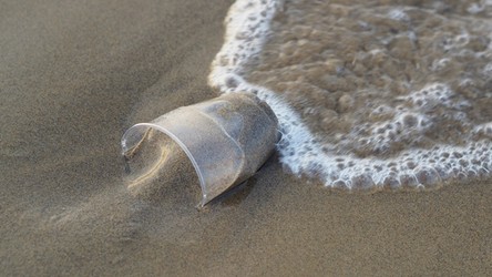 25.12.2020 06:00 Rowy oceaniczne są najlepszym sposobem na walkę z plastikiem w oceanach